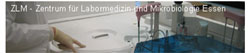 ZLM Essen